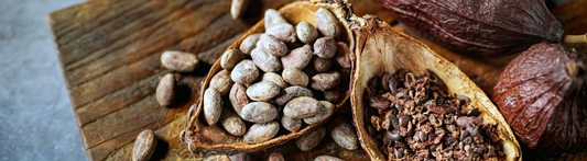 Całe prażone ziarna kakaowca z Hondurasu — prażone poniżej 130°C, Teaoria x Flow Cacao