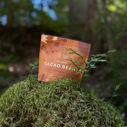 Cacao Beans with Orange and Cinnamon